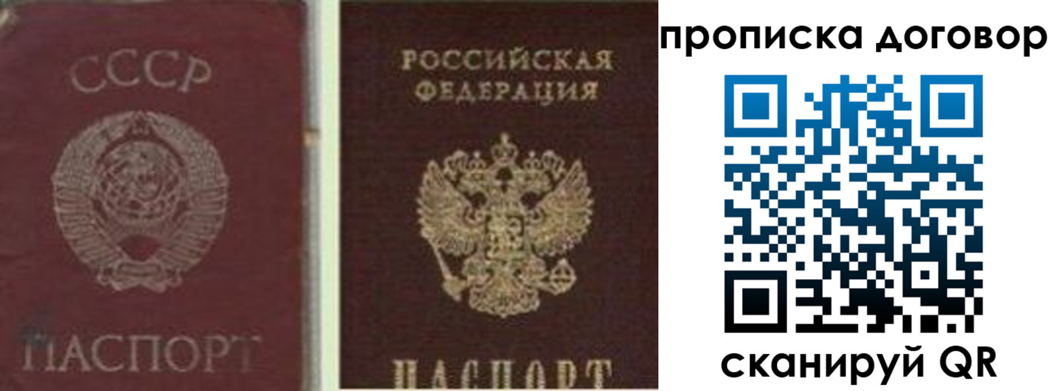 прописка гарантия в Михайловке